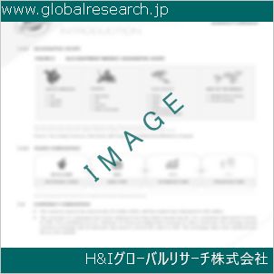 グローバルリサーチ調査資料のイメージ